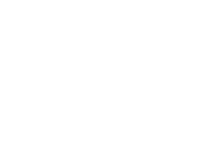 The KING LION